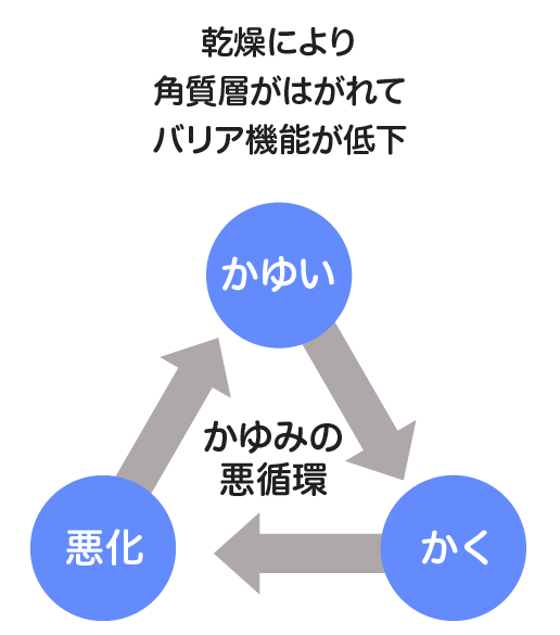 乾燥肌（ドライスキン）